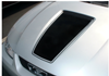 1999-03 Mustang Square Nose Hood Decal with Pinstripe - Flat Hood